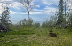 10427 E Devries Road, Poplar, WI 54864