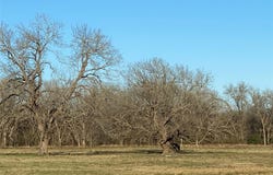 465 Oak Grove RD, Luling, TX 78648