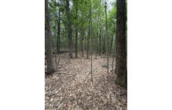 L184 Black River Road, Stephentown, NY 12169