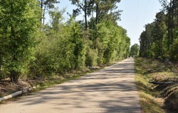 0 Sullivent Rd, Folsom, LA 70446