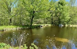 60 Mt Blue Pond Road, Avon, ME 04966