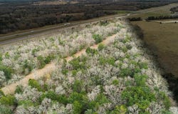 Tbd I-45, Teague, TX 75860