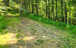 0 Alberta St., Oneida, TN 37847