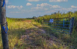 Tract 1 Highway 0036, Woodland, GA 31836