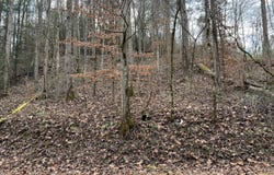 2774 Mosley Bend Road, Hyden, KY 41749