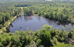 00 RE Young Road, Wray, GA 31798
