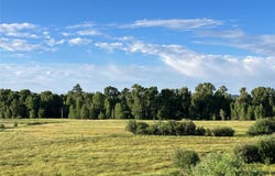 17091 B Hwy 84/64, Los Ojos, NM 87551