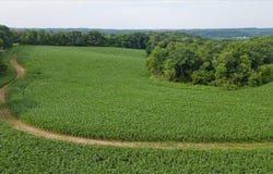Lot 2 Burr Oak Trail, Cross Plains, WI 53528