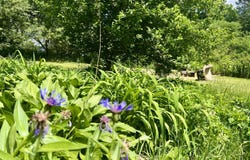 87 Monroe Highway, Brooks, ME 04921