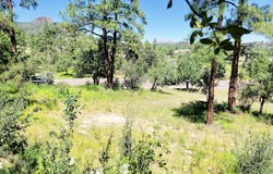 1753 Conifer Ridge Lane, Prescott, AZ 86303
