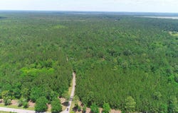 15305 NW HWY 320, MICANOPY, FL 32667