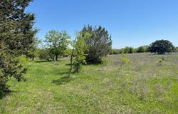 Tbd Lot 12 E Lumpkin Street, Meridian, TX 76665