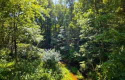 0 Deer Creek Rd, Raccoon, OH 45686