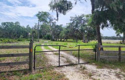 427 NE 268 AVE, Old Town, FL 32680