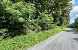 0 Adams Road, Gallitzin, PA 16641