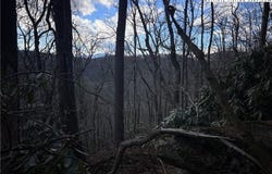 Locust Point Drive, Boone, NC 28607