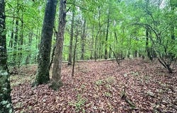 0 Cedar, Danielsville, GA 30633