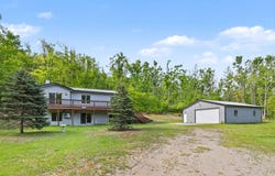 2327 Watson Hills Trail, Vanderbilt, MI 49795