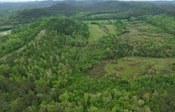Ryan Road, Oden, AR 71961