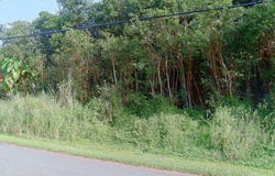 DIAMOND HEAD RD, Pahoa, HI 96778