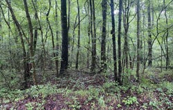 0 Independence Bottom Road, Selma, AL 36701