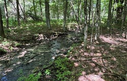 Cronin Road, Schenevus, NY 12155