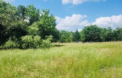 12124 Fm 2159, Calvert, TX 77837