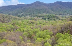 Laurel Ridge Drive, Maggie Valley, NC 28786