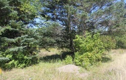 193 Golding Road, Perry, ME 04667