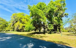 Lot 48 Coopers Point Drive, Townsend, GA 31331
