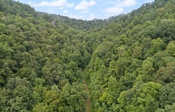 0 Hall Branch Road, Topmost, KY 41862