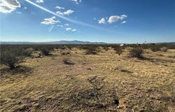 326-09-110 Havasu Road, Dolan Springs, AZ 86441