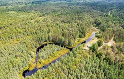 11250 Patricia Lane, Roscommon, MI 48653