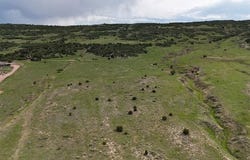Coyote Point, Rye, CO 81069