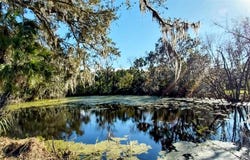 11105 WINN Road, RIVERVIEW, FL 33569
