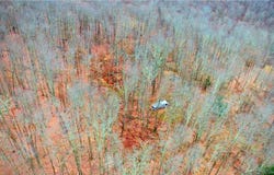 Petersen Road, Hancock, NY 13783