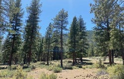 3355 Golf Club Drive unit: 97, Carson City, NV 89705