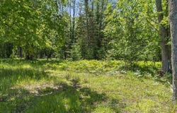 2720 WHITING, CHEBOYGAN, MI 49721