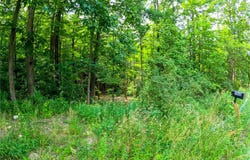2860 Merriam Road, Ashland, NY 14894
