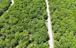 143 Briarwood Trail, Nocona, TX 76255