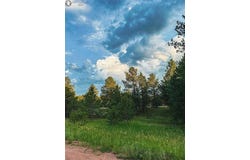 34 Quartz Circle, Florissant, CO 80816