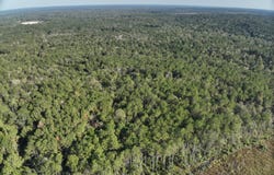 of Tilton Rd, Monticello, MS 39654
