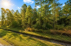Milan Street, Waveland, MS 39520