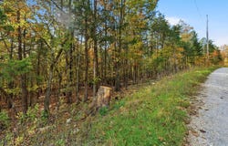 335 Wallace Drive, Rockaway Beach, MO 65740