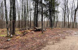 W Tamarack Lake Road lot: 5, Watersmeet, MI 49969