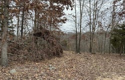 Tract 3 Deer Meadows Lane, Yellville, AR 72687