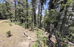 Lee Cir lot: 40A, Cloudcroft, NM 88317