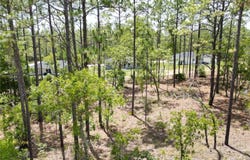 0000 SW 157TH AVENUE, OCALA, FL 34481