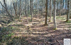 Danville Pike, Hillsville, VA 24343