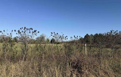 1285 goff Road, Quitman, AR